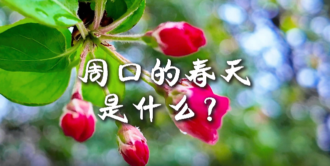 周口的春天，待你慢慢遇見